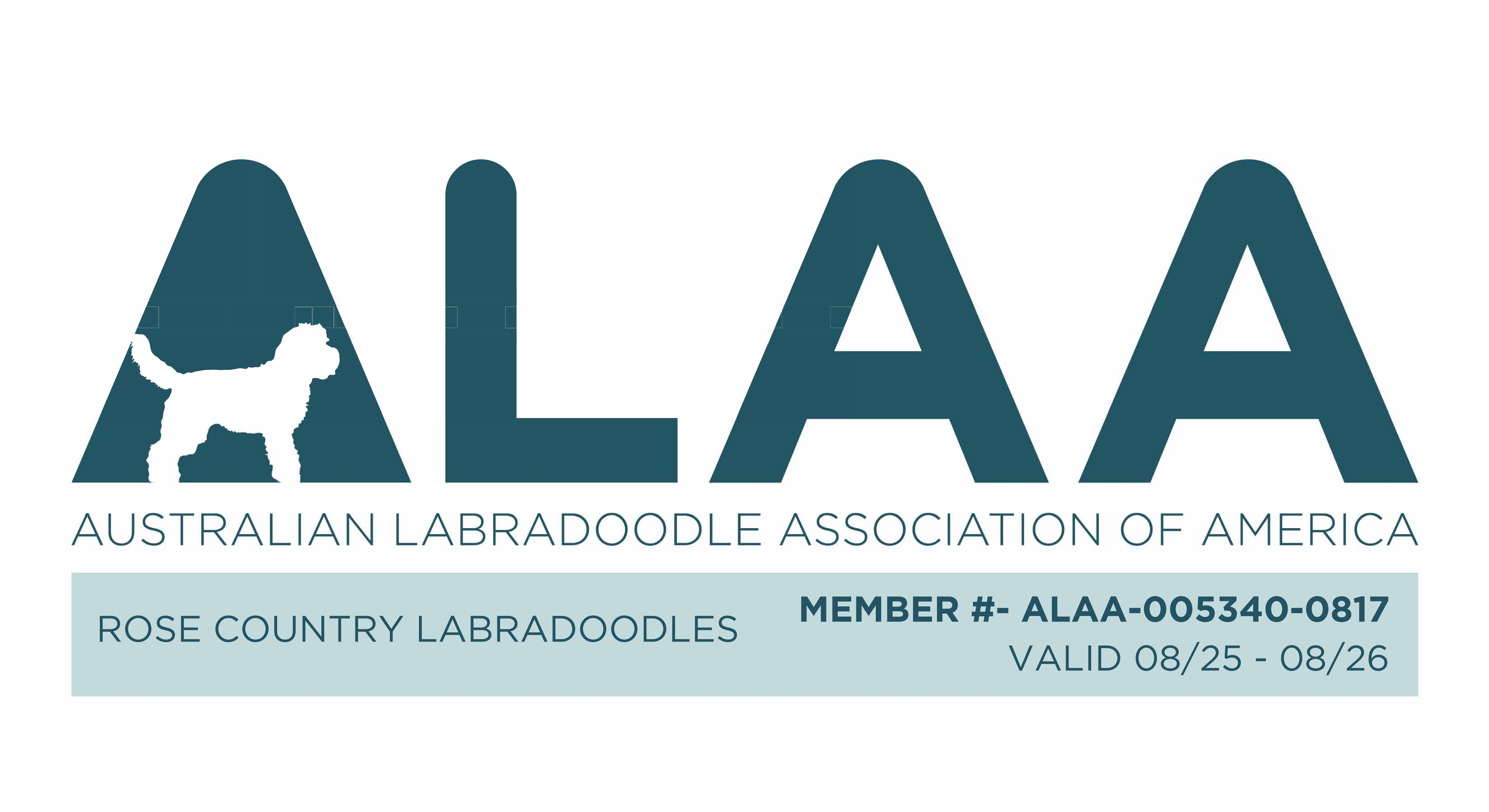ALAA International Member - Rose Country Labradoodles